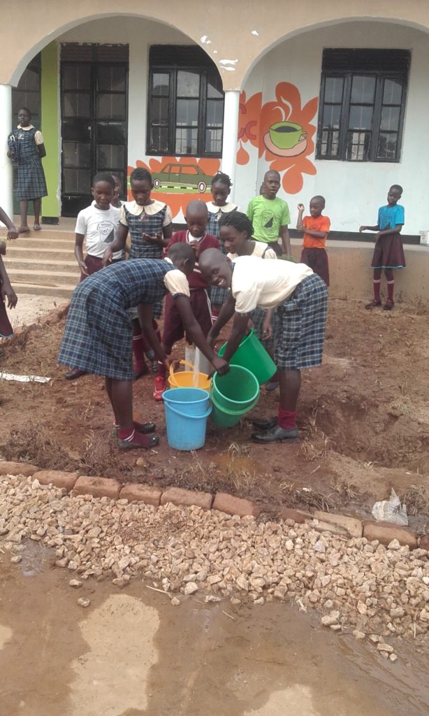 20180207_164226-e1518637318675-614x1024